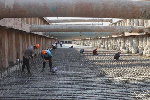 市政集團黨總支 黨建聯建聚合力，攜手共建精品民生工程